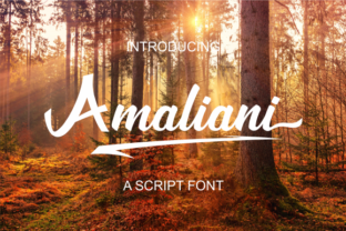 Amaliani: A Brush Script Font for Modern Web Design