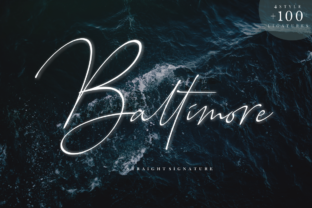 Baltimore Family: A Modern Font for Campaigns