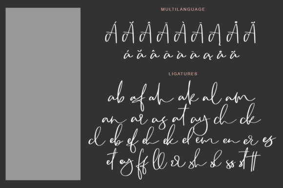 Camsay: A Handmade Script Font for Your Brand