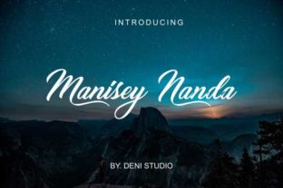 Nanda: The Elegant Script Font for Campaigns