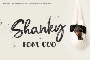 Shanky: The Perfect Font Duo for Campaigns