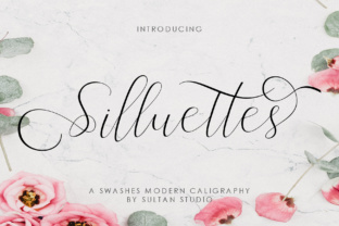 Silluettes: A Romantic Script Font for Web Design