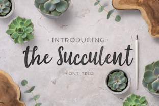 The Succulent Trio: A Feminine Script Font for Web Design