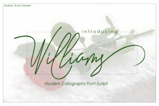 Williams: A Bold Script Font for Brand Identity